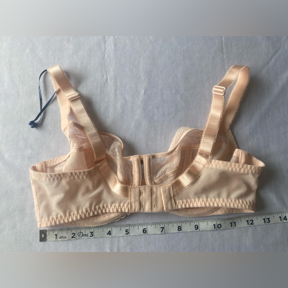 Fantasie Ann-marie Floral & Lace Blend Wire‎ Side Support Bra Size 32DD - Picture 6 of 8